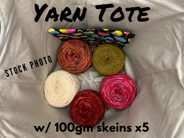 Hocus Pocus Yarn Tote