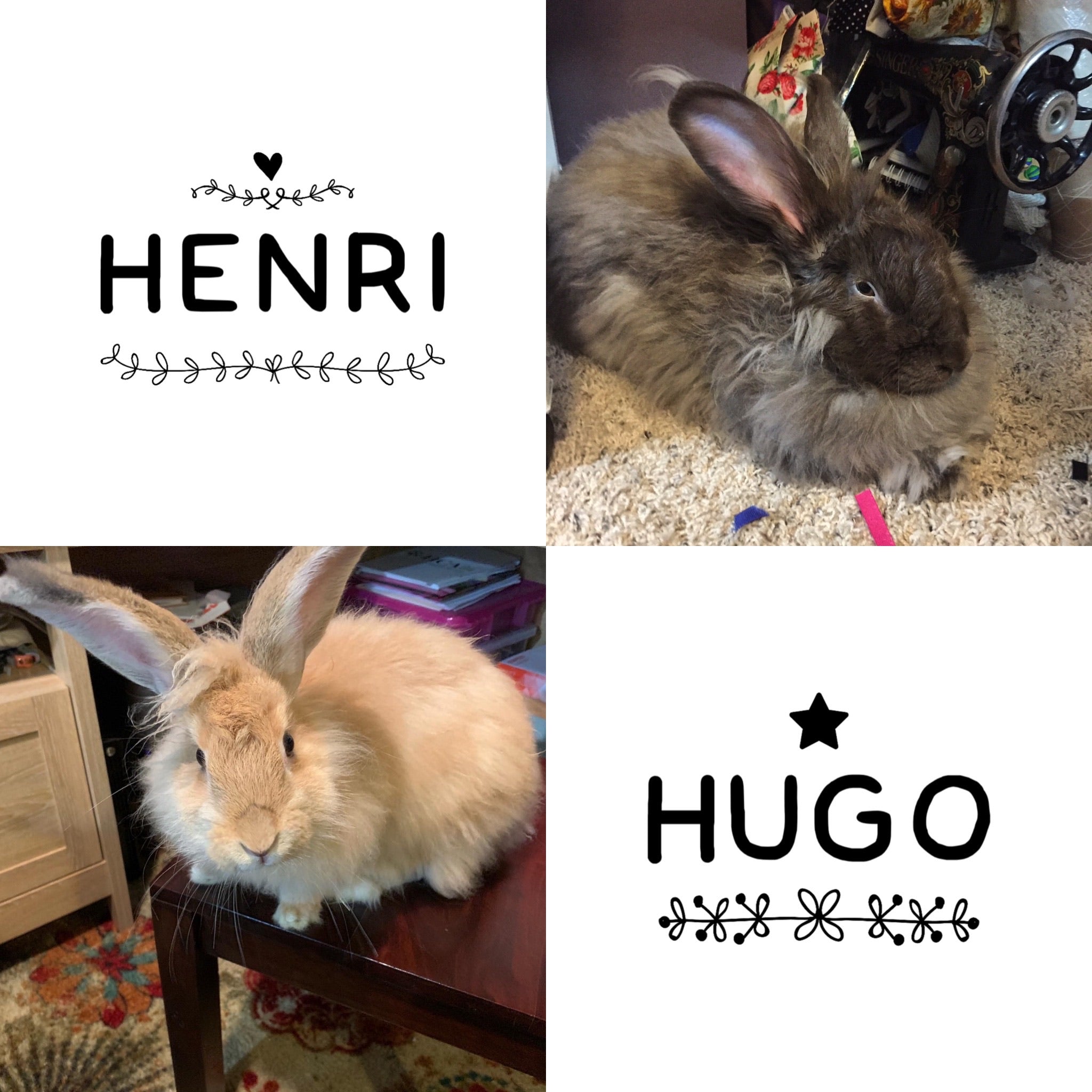 French Angora and Merino Yarn